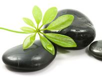 Hot-Stone