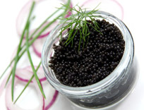 Pflegecreme Caviar
